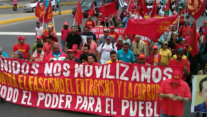 venezuela_march_bolivarian_revolution.png_1718483346