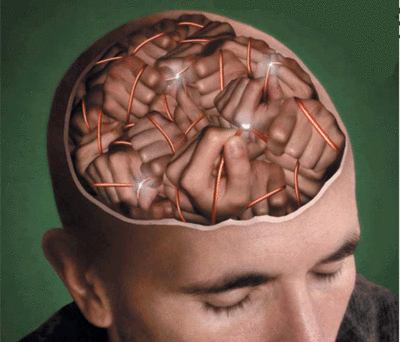 Plastičnost ljudskog mozga