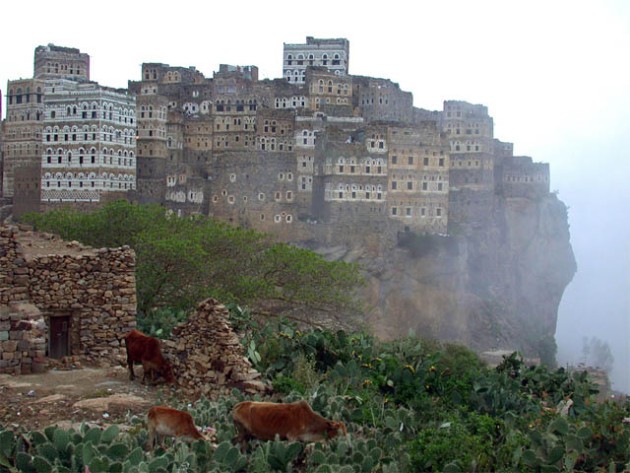 Ostrvo Sokotra, Jemen