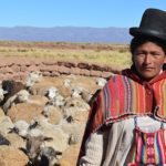 Stopa nepismenosti u Boliviji najniža u istoriji