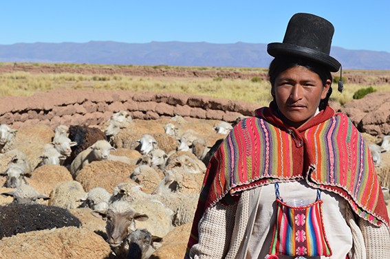 Stopa nepismenosti u Boliviji najniža u istoriji