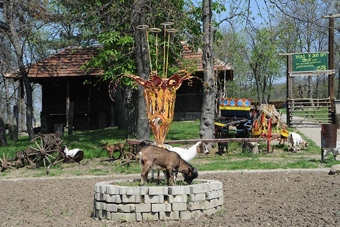 U Kragujevcu kradu životinje iz zoo-vrta za hranu