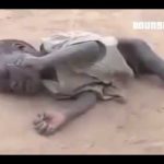 Da li ste ikada videli kako izgleda umiranje od gladi? (Video)