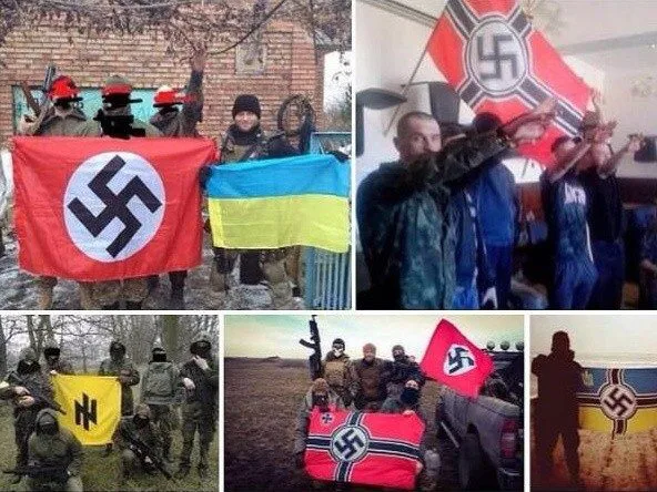 Demokratska Ukrajina - Princip