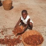 Nestle na sudu zbog promovisanja robovskog rada dece u Obali Slonovače