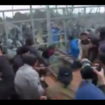 Izbeglice na grčko-makedonskoj granici pokušavaju da probiju ogradu (VIDEO)