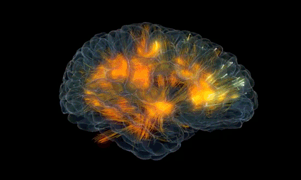 Hakovanje mozga moguće uz pomoć programa ciljanog treninga neuroplastičnosti u razvoju DARPA