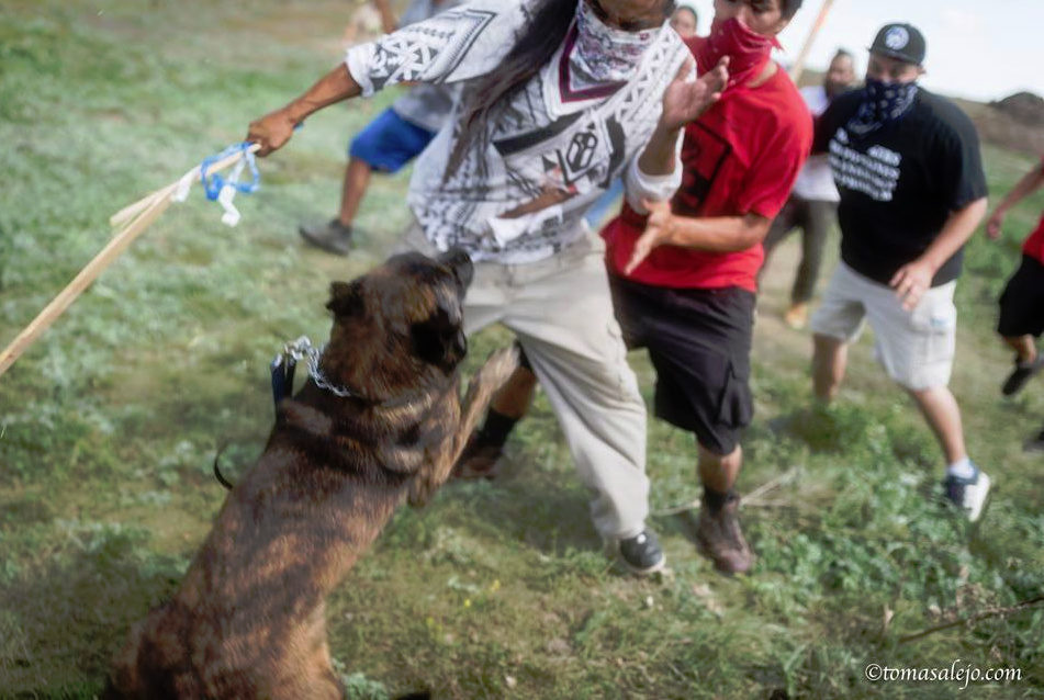 Pustili pse na Indijance koji protestuju protiv izgradnje naftovoda! (VIDEO)