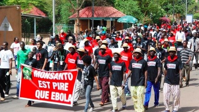 Burkina Faso definitivno izbacuje Monsantov pamuk iz upotrebe