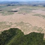 Krčenje amazonske prašume dostiglo najveću stopu u deceniji!