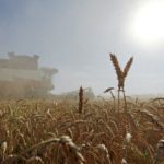 Rusija donirala velike količine pšenice Kubi