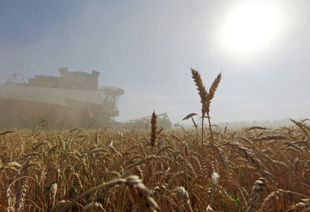 Rusija donirala velike količine pšenice Kubi