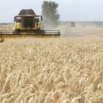 Tri američke korporacije preuzele su 17 miliona hektara poljoprivrednog zemljišta u Ukrajini