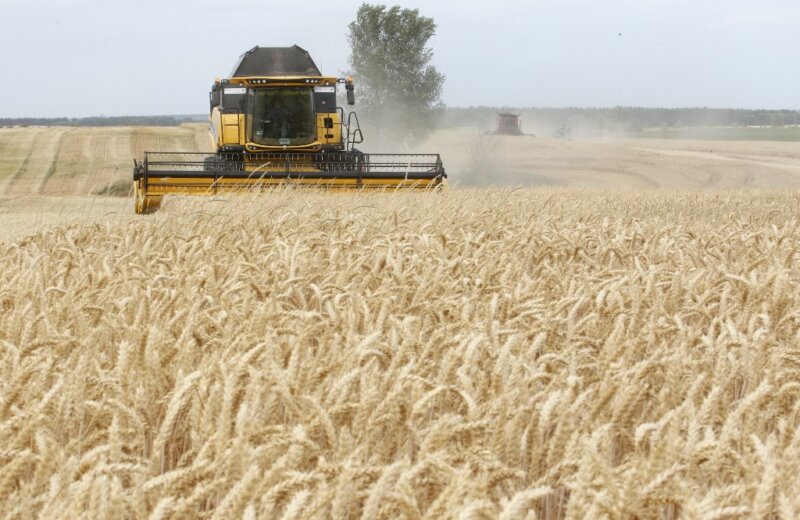 Tri američke korporacije preuzele su 17 miliona hektara poljoprivrednog zemljišta u Ukrajini