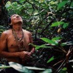 Brazil, Indonezija i Kongo formiraju strateški savez za očuvanje tropskih šuma