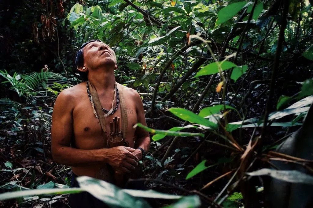 Brazil, Indonezija i Kongo formiraju strateški savez za očuvanje tropskih šuma