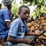 O. Slonovače i Gana zahtevaju od proizvođača čokolade veće prihode na plantažama kakaoa