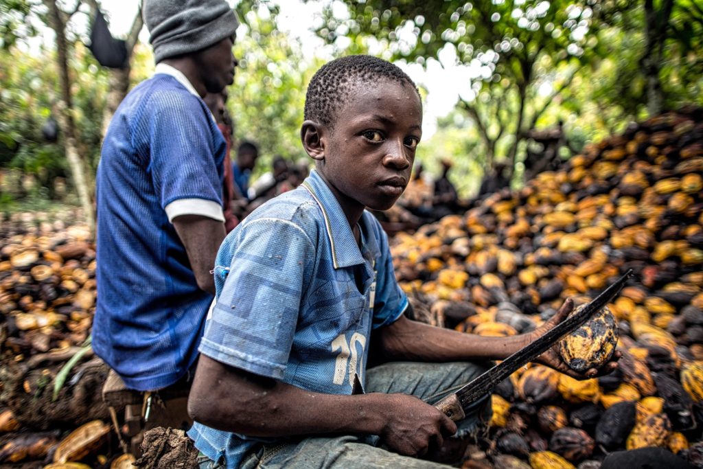 O. Slonovače i Gana zahtevaju od proizvođača čokolade veće prihode na plantažama kakaoa