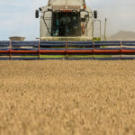 Rusija donira 500.000 tona žitarica najsiromašnijim zemljama