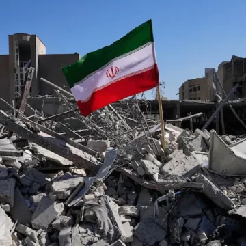 Kada džungle zakon vlada-Mohamed Sadek Fazli